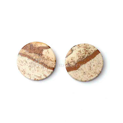 Natural Picture Jasper Round Coin shape 12mm Flat Gemstone for jewelry making, Picture Jasper pendant, earrings making beads 2 pcs set