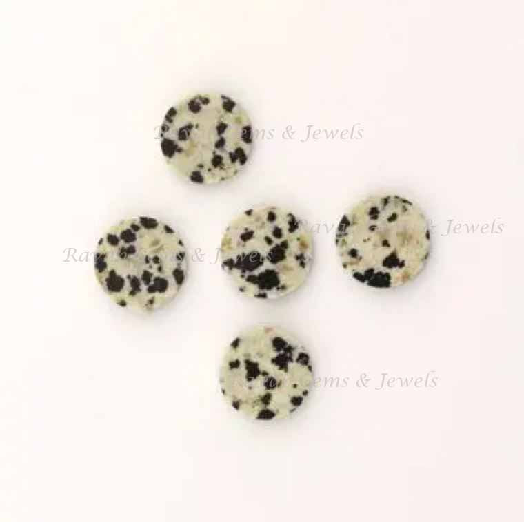 Dalmatian Jasper Round Coin shape 12mm Flat Gemstone for jewelry making, Dalmatian Jasper ring, pendant, earrings making beads 2 pcs set,