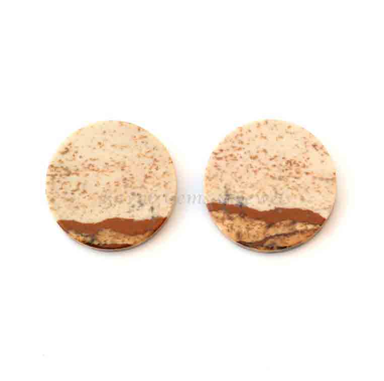 Natural Picture Jasper Round Coin shape 12mm Flat Gemstone for jewelry making, Picture Jasper pendant, earrings making beads 2 pcs set