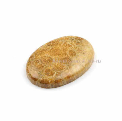 Fossil Coral Oval 5x7mm to 20x30mm Cabochon Loose Gemstone | Smooth Calibrated, Semi Precious Stone For Making Pendant Ring Jewelry 1 Pc