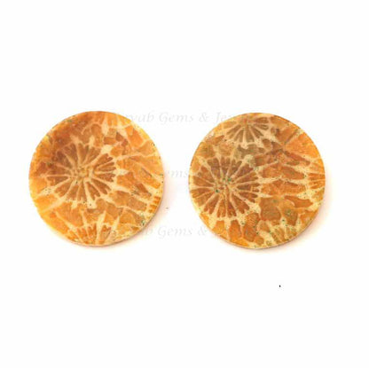 Fossil Coral Coin Shape Both Side Flat Gemstone For Jewelry Making, Loose Beads Stones, Jewelry Making Stone For Pendant Earrings 2 Pcs Set