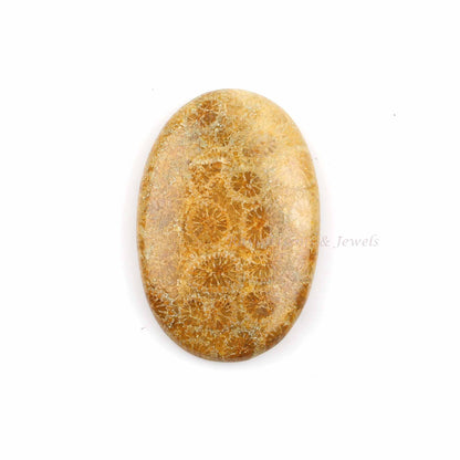 Fossil Coral Oval 5x7mm to 20x30mm Cabochon Loose Gemstone | Smooth Calibrated, Semi Precious Stone For Making Pendant Ring Jewelry 1 Pc